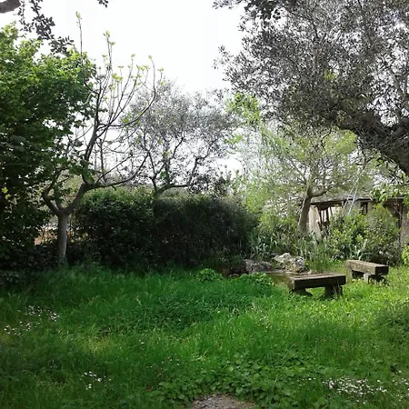 Bed & Breakfast Natozza *
